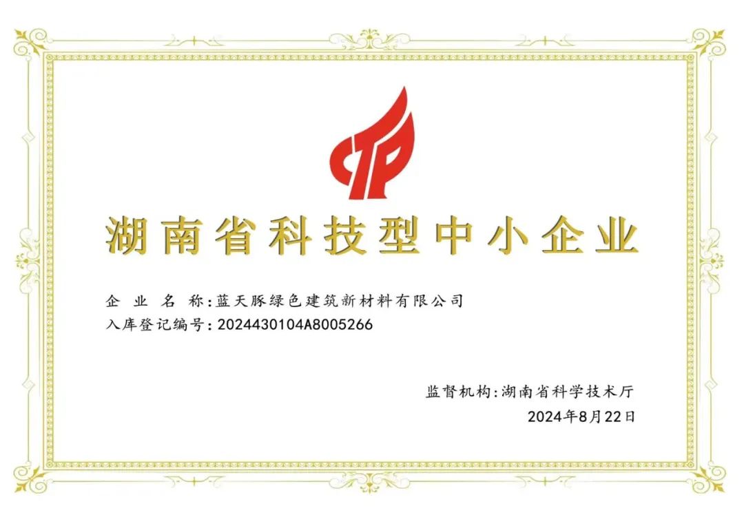 喜报！蓝天豚成功入选2024年第一批国家级科技型中小企业(图2)
