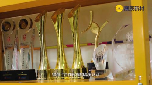 展辰新材建筑涂料成就建筑之美！(图5)