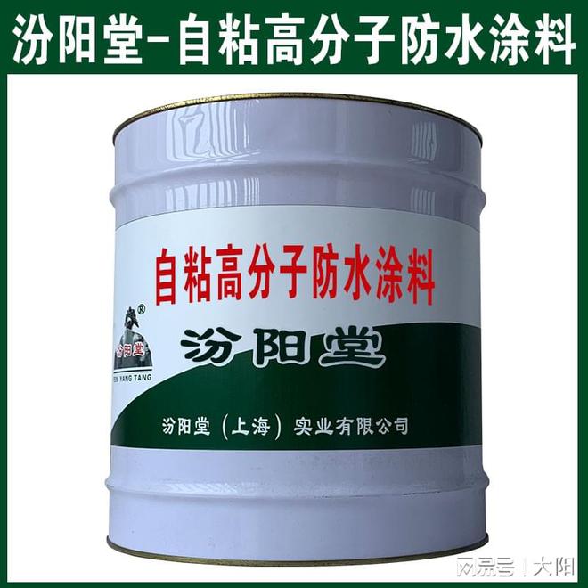 自粘高分子防水涂料我们以产品的发展为原动力。(图2)
