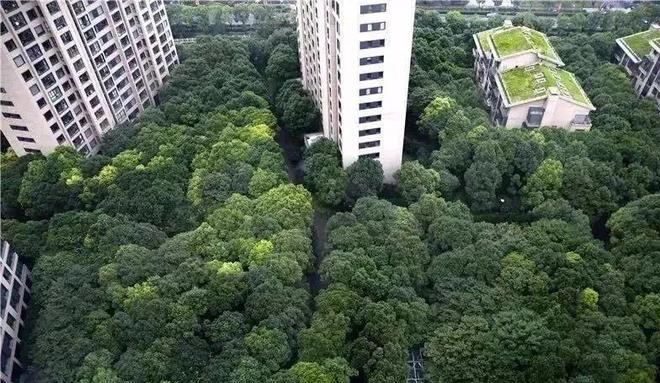 中鹰黑森林（2024上海中鹰黑森林）首页-楼盘详情-户型配套(图5)