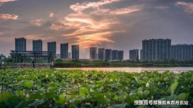 绿城留香园售楼处(绿城留香园)网站-楼盘百科@2024上海新房(图22)