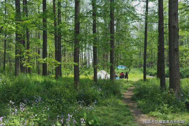 越秀杨浦天玥(售楼处)网站-2025楼盘评测_最新价格｜配套户型(图23)