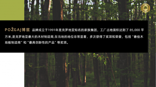 行业重磅：地板涂装领军品牌凯美沃携手朗穆品牌开启2025新篇章(图4)