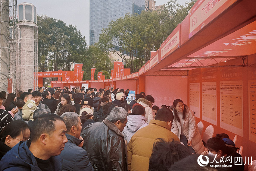 提供超200万个岗位2025年四川省“春风行动”启动(图3)