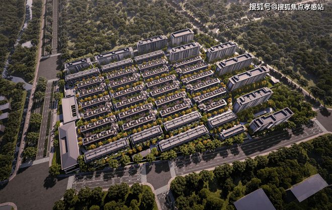国贸海上原墅发布：执云纹为帛锻星芒作檐紫薇之星钤印东方雅集(图8)