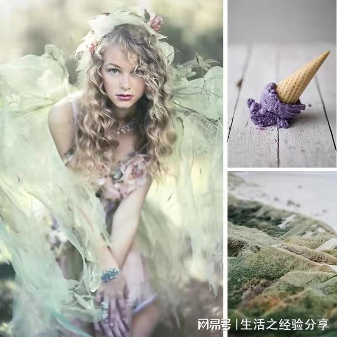 美国进口涂料品牌在中国市场的竞争格局与消费趋势分析(图1)