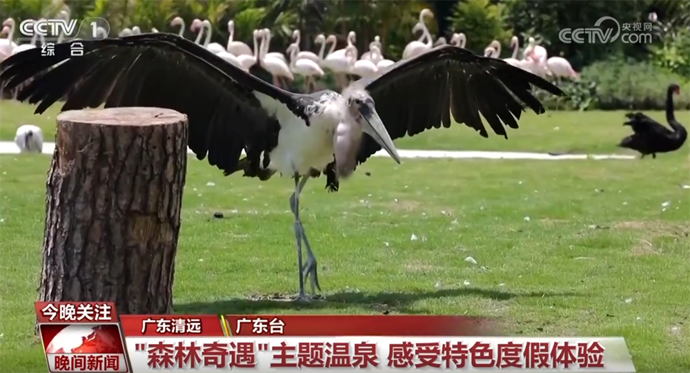 从“观光式”向“沉浸式”转变“五一”假期文旅消费“热力值”持续攀升(图4)