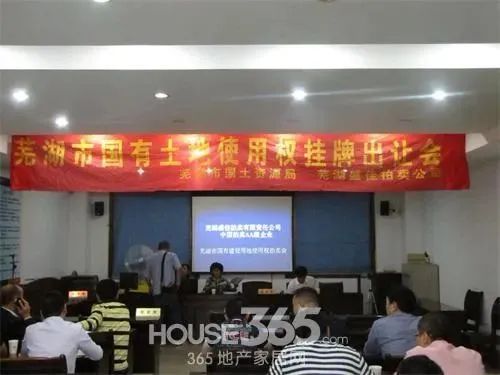苦等十余年！低于评估价165亿！芜湖一知名“烂尾项目”遭变卖！(图7)