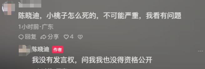 25岁刮腻子女网红去世死前最后动态曝光姐姐迷惑行为引争议(图6)