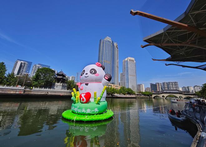 “五一”假期来成都偶遇大熊猫！(图2)