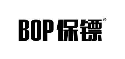 2025年推荐10大车衣品牌漆面膜选购必看！(图6)