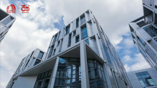 东方雨虹李卫国出席2025八角湾创新大会暨纳米材料与器件创新发展大会并作主题发言(图3)