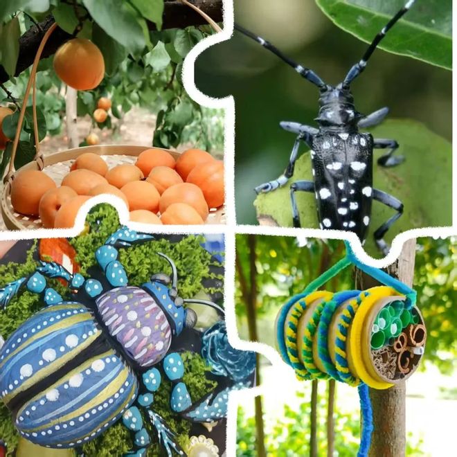 实景美图抢先看!端午节北京活动汇总来了(图33)