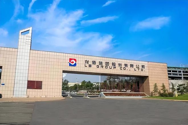 2025中国民营企业500强:广州美涂士、东方雨虹、龙佰集团上榜(图6)