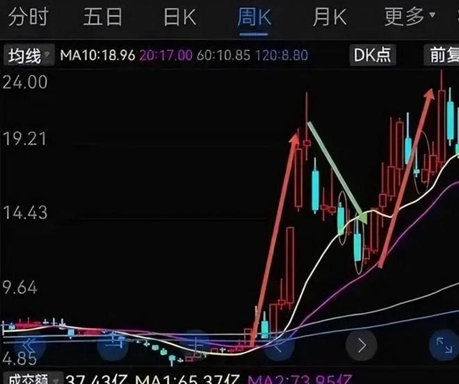 新型骗局已坑惨无数人卷走148亿血汗钱许多普通家庭被拖垮(图5)