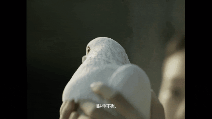 年度微电影《定神》首映:一场关于传统文化传承的当代哲思(图6)