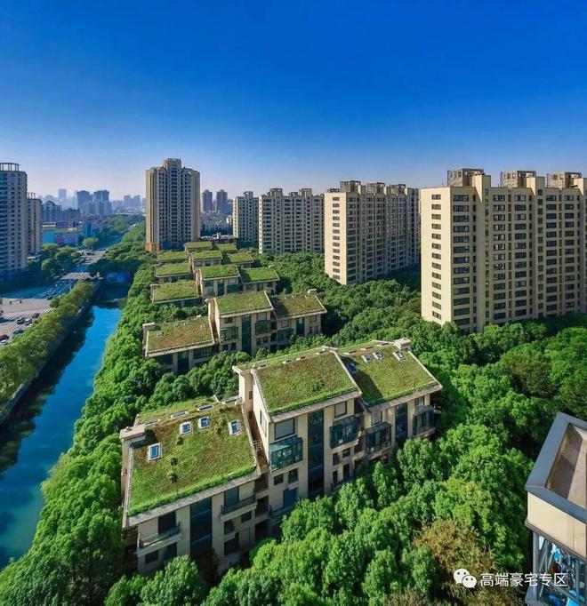 上海热搜豪宅!︎中鹰黑森林售楼处发布：探索理想居住新境！(图1)