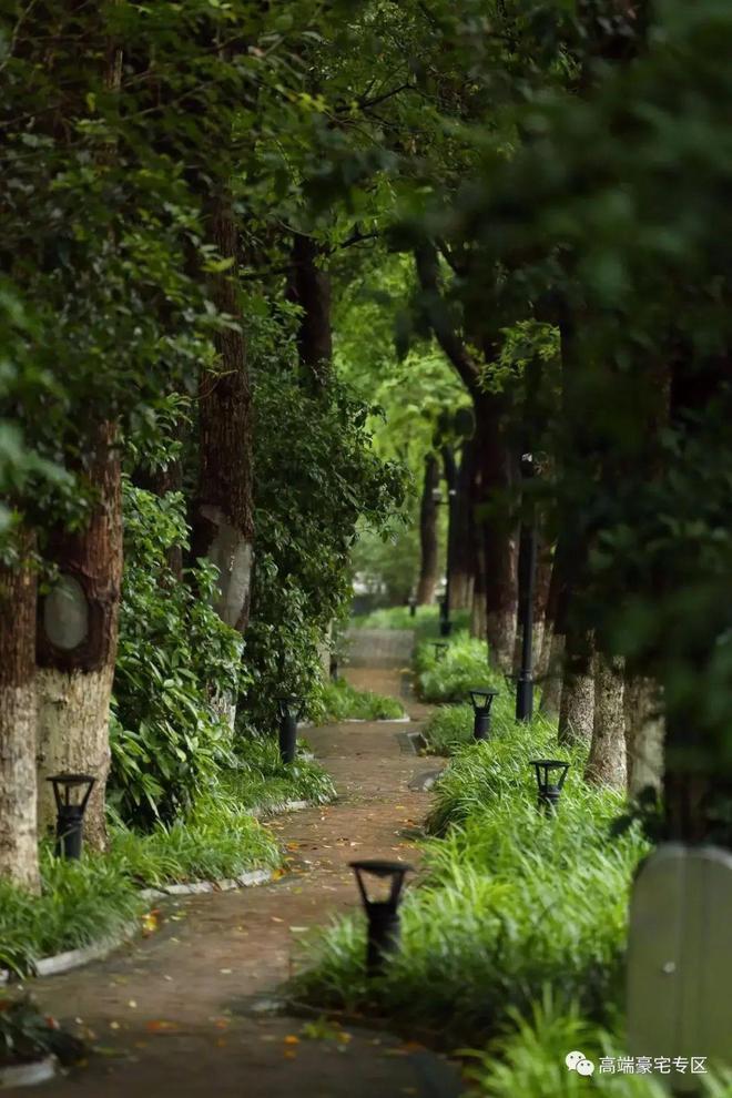 上海热搜豪宅!︎中鹰黑森林售楼处发布：探索理想居住新境！(图3)