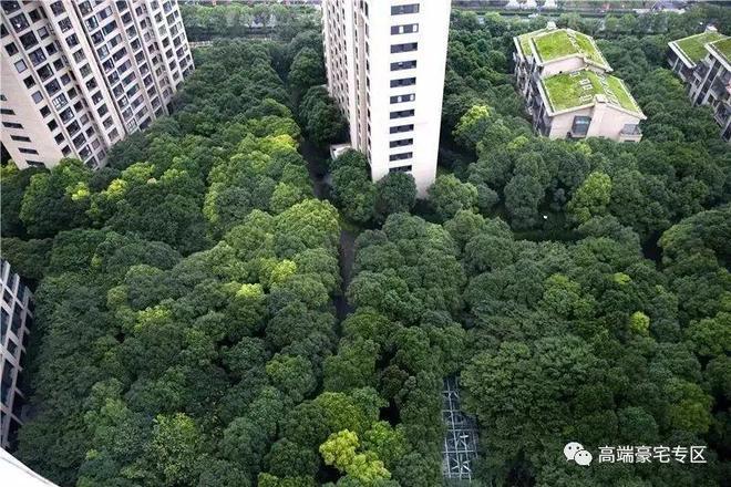 上海热搜豪宅!︎中鹰黑森林售楼处发布：探索理想居住新境！(图2)