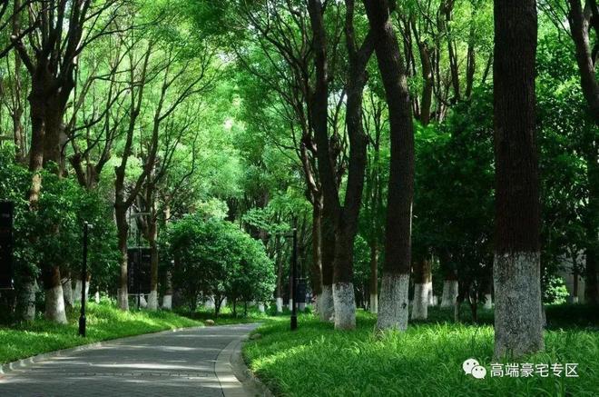 上海热搜豪宅!︎中鹰黑森林售楼处发布：探索理想居住新境！(图4)