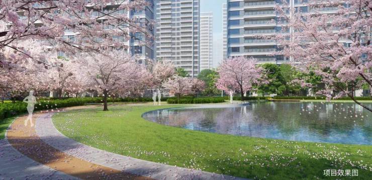 苏州高铁新城核心资产!和风雅信和风雅信花园日系精工大宅户型地址周边配套价格售楼处开发商双世界500强联袂(图6)