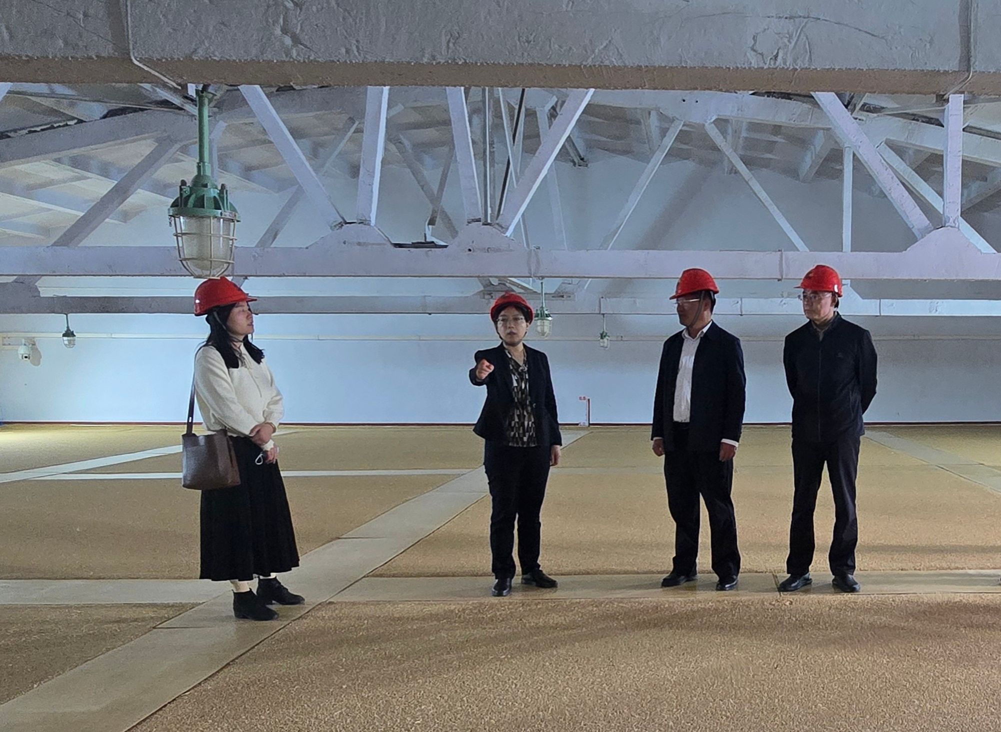 国家粮食和物资储备局科学研究院到我市调研绿色储粮技术集成应用示范工作(图1)