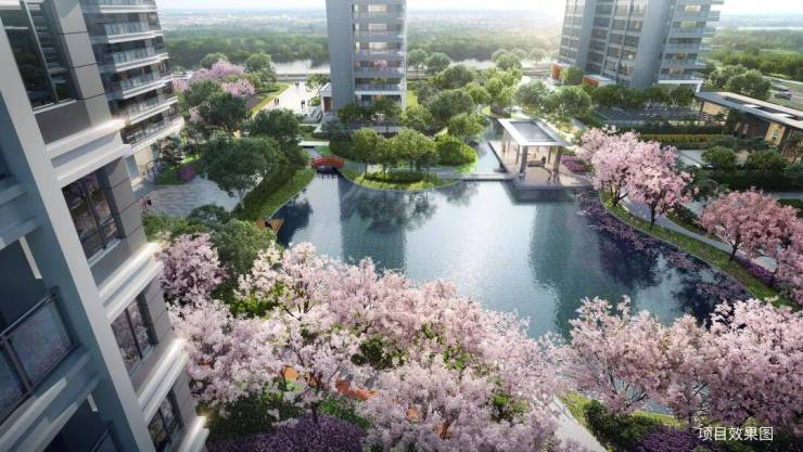 苏州高铁新城【和风雅信】131-249㎡日系精工大宅-和风雅信楼盘详情(图3)